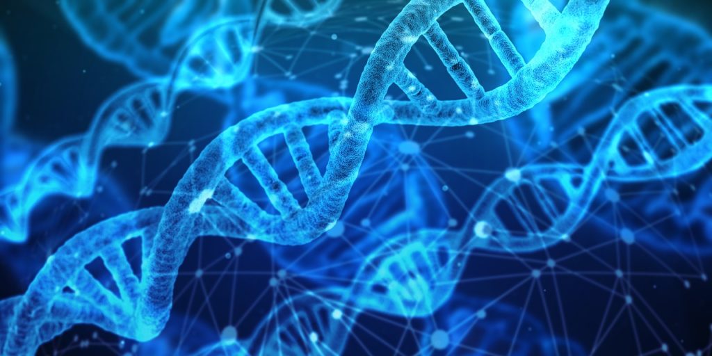 INTRODUCTION TO GENETICS