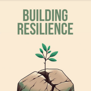 building resilience